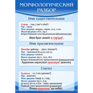 Стенд "Морфологический разбор"