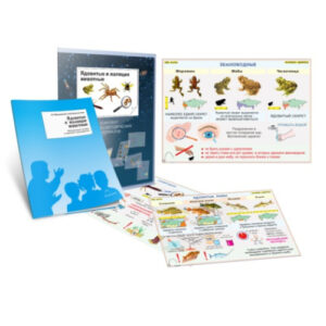 Транспаранты "Ядовитые и жалящие животные"