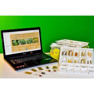 Коллекция натурально-интерактивная "Плоды сельскохозяйственных растений"