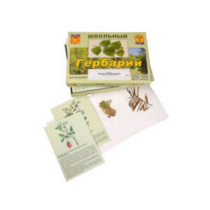 Гербарий "Для начальной школы" (30 видов, с иллюстрациями)