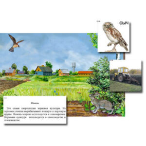 Магнитный плакат-аппликация "Поле: биоразнообразие и взаимосвязи в сообществе"