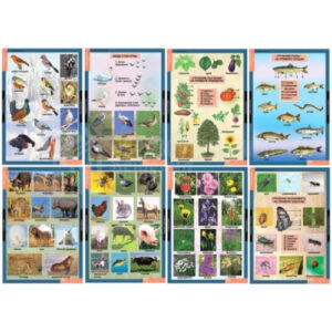 Таблицы демонстрационные "Окружающий мир 1 кл."