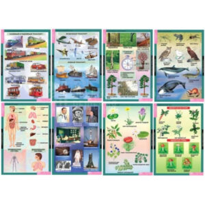 Таблицы демонстрационные "Окружающий мир 2 кл."