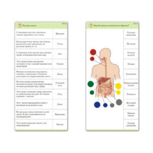 Комплект карточек (10) "Обучающий калейдоскоп. Человек"