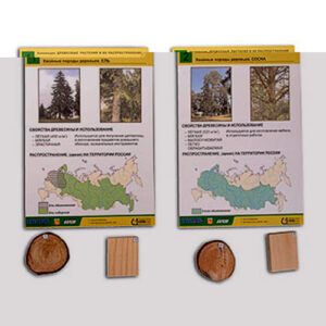 Коллекция "Древесные растения и их распространение" (демонстрационная)