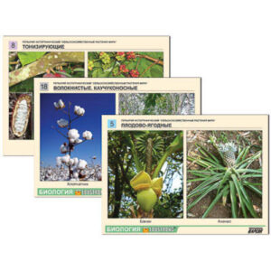 Гербарий фотографический "Сельскохозяйственные растения мира"