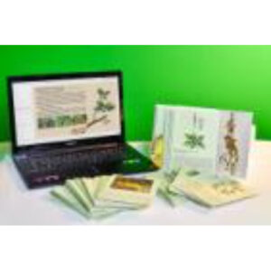 Гербарий натурально-интерактивный "Дикорастущие растения"