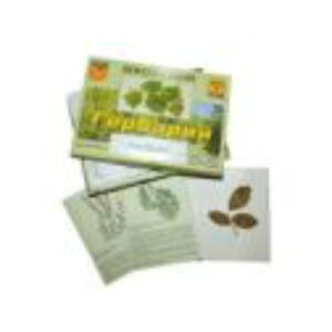 Гербарий "Дикорастущие растения" (30 видов, с иллюстрациями)