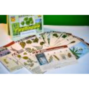 Гербарий к курсу основ общей биологии