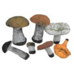 Набор муляжей грибов