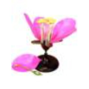 Модель цветка яблони