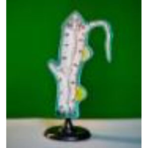 Модель гидры