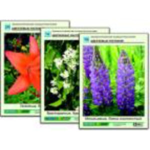 Гербарий фотографический "Основные группы растений"