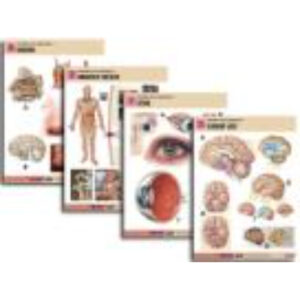 Комплект таблиц по биологии дем. "Человек и его здоровье 2" (10 табл., формат А1, лам.)