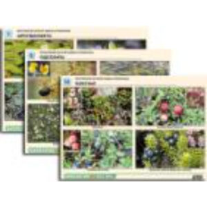 Комплект таблиц по ботанике раздат. "Многообразие растений. Водные и прибрежные" (16 шт., А4, лам)