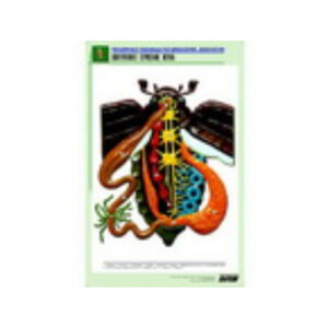 Рельефная таблица "Внутреннее строение жука" (формат А1, матовое ламинир.)