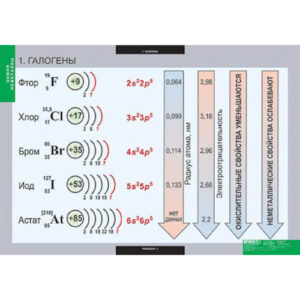 Таблицы демонстрационные «Химия. Неметаллы»