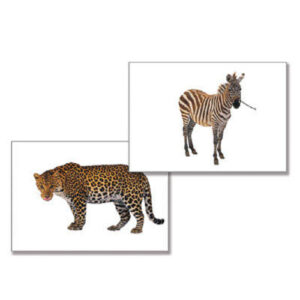 Дидактическое пособие "Дикие животные" (24 карт., А4, ламинир.)