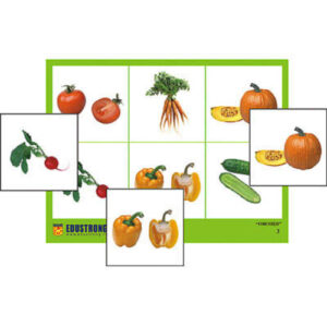 Лото "Овощи" (4 планшета, 24 карт., цвет., ламинир.)