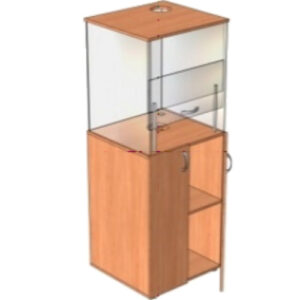 Шкаф вытяжной для кабинета химии прозрачный. 600х580х1700 мм.