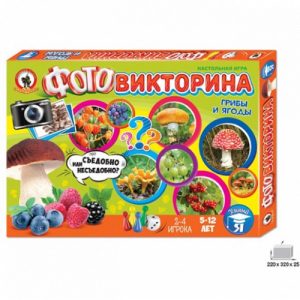 Игра «Фотовикторина Грибы и ягоды»